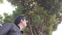 预览图16