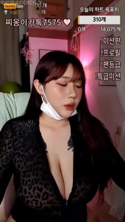 预览图13
