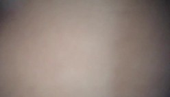 预览图4