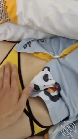 预览图4
