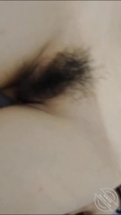 预览图7