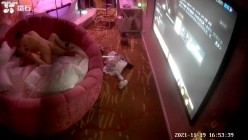 预览图8