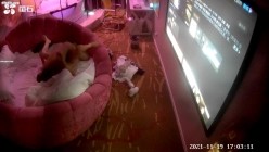 预览图12