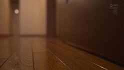 预览图9