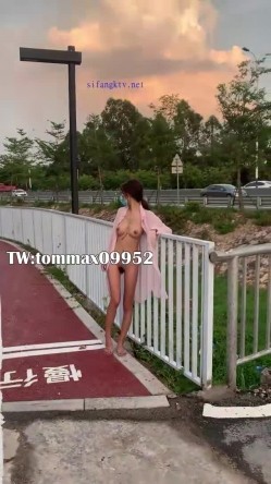 预览图12