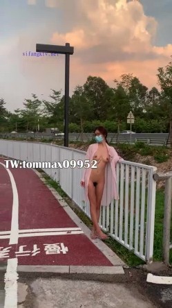 预览图13