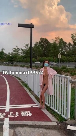 预览图14