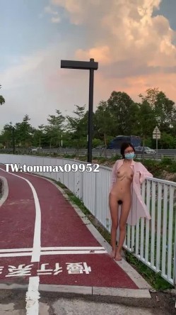 预览图16