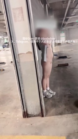 预览图13