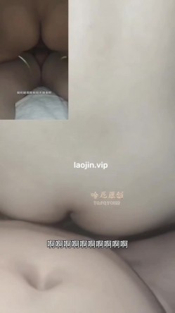 预览图8