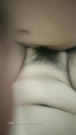 预览图5