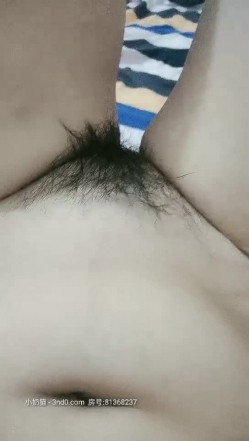 预览图9