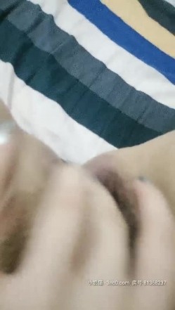 预览图13
