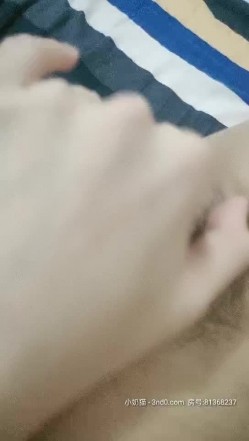 预览图14
