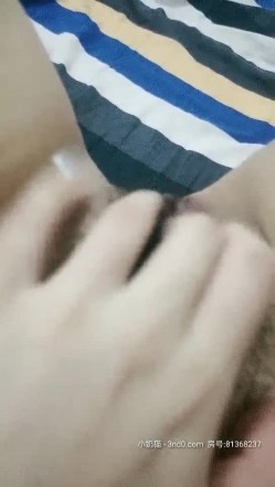 预览图15