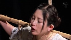 预览图8