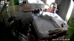 预览图12