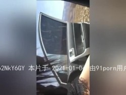 预览图2
