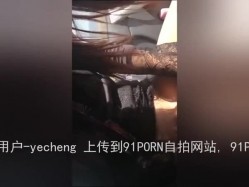 预览图3
