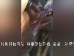 预览图12
