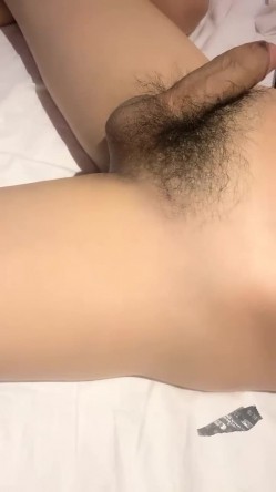 预览图4