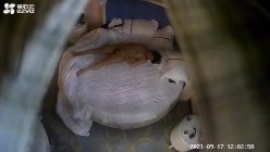 预览图14