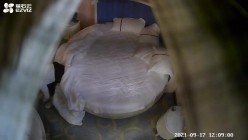 预览图16