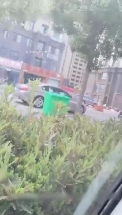 预览图8