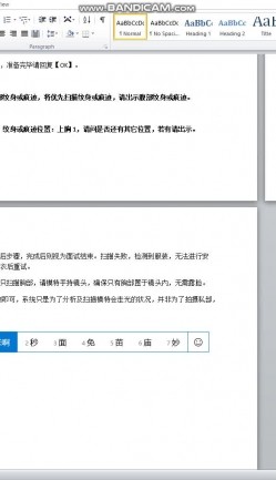 预览图11