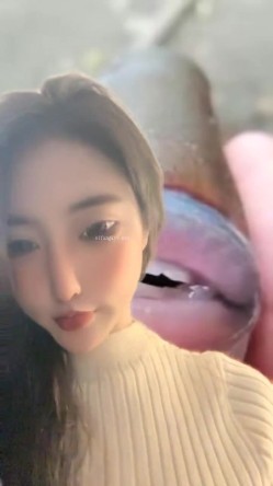 预览图13