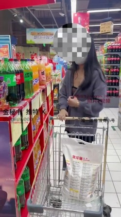 预览图9