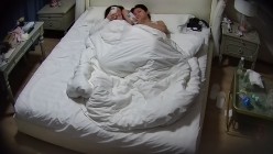 预览图4