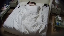 预览图13