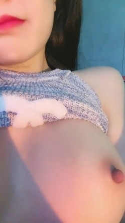预览图4