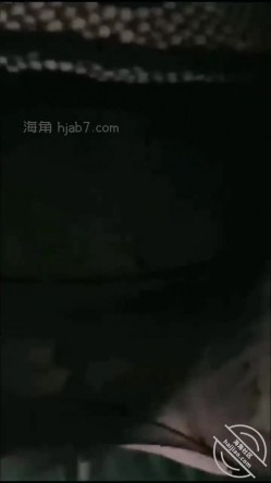预览图6