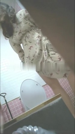 预览图4