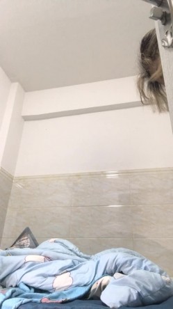 预览图14