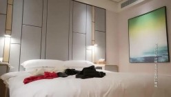 预览图4