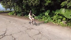 预览图4