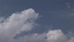 预览图16