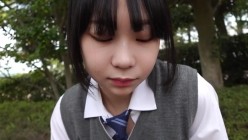 预览图4