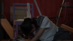 预览图5
