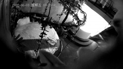 预览图6