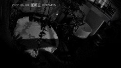 预览图7