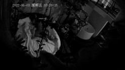 预览图8