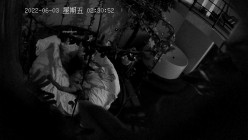 预览图9