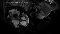 预览图10