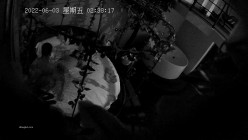 预览图11