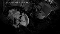 预览图12