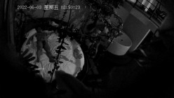 预览图13